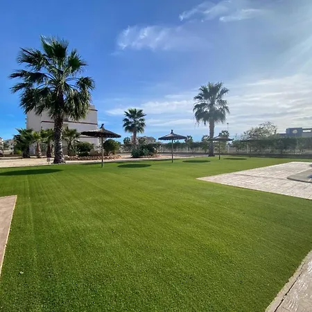 Amazing La Cinuelica R17 -punta Prima *